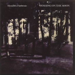 Meredith D'Ambrosio "Wishing on the Moon"